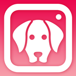 DogCam - Dog Selfie Filters an