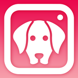 DogCam  - 狗自拍过滤器和相机 APK