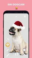 DogCam Poster