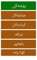 Learn Kurmanji Kurdish imagem de tela 2