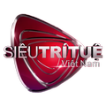 Siêu trí tuệ - Toán học