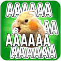 Birb Stickers for WhatsApp