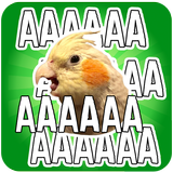 Birb Stickers for WhatsApp أيقونة