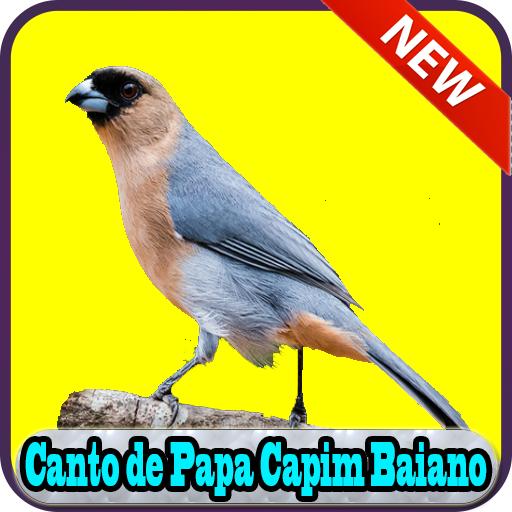 Canto Papa Capim for Android - Free App Download