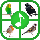 Icona suoni e suonerie degli uccelli