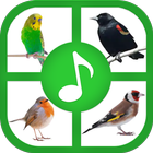 Birds Sounds And Ringtones 圖標