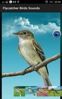 2 Schermata Flycatcher Birds Sounds