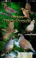 ゲーム鳥の音 ポスター