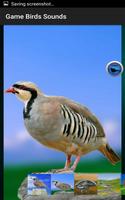 Game Birds Sounds screenshot 2