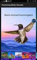 Humming Birds Sounds স্ক্রিনশট 3