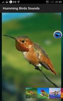 1 Schermata Humming Birds Sounds