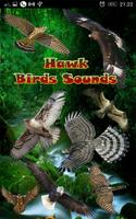 Hawk Birds Sounds poster