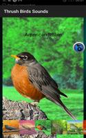 Thrush Birds Sounds स्क्रीनशॉट 3