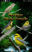 Warbler Birds Sounds โปสเตอร์
