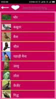 Birds Information in Hindi capture d'écran 2