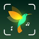 BirdID - Sound Bird Identifier APK