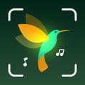 ”BirdID - Sound Bird Identifier