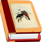 List of bird genera 圖標