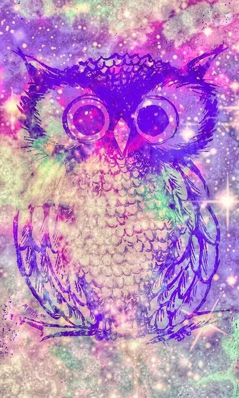 Lovely Owl Wallpaper APK for Android Download Lovely Owl Wallpaper APK for Android Download