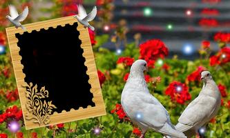 Bird Love Photo Frames Affiche