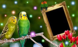 Bird Love Photo Frames capture d'écran 1