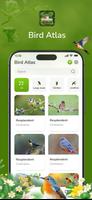 پوستر Bird ID - Picture Identifier