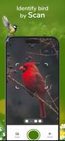 برنامه‌نما Bird ID - Picture Identifier عکس از صفحه