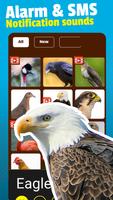 Bird Sounds Screenshot 1