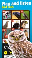 Bird Sounds Screenshot 2
