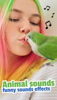 Bird Sounds Screenshot 3