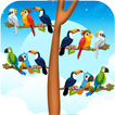 Bird Sort Color Match Games