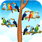 Bird Sort Zeichen