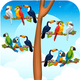 Bird Sort Color Match Games APK