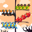 Bird Sort Game: Color Puzzle APK