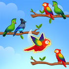 Bird Sort Puzzle icon