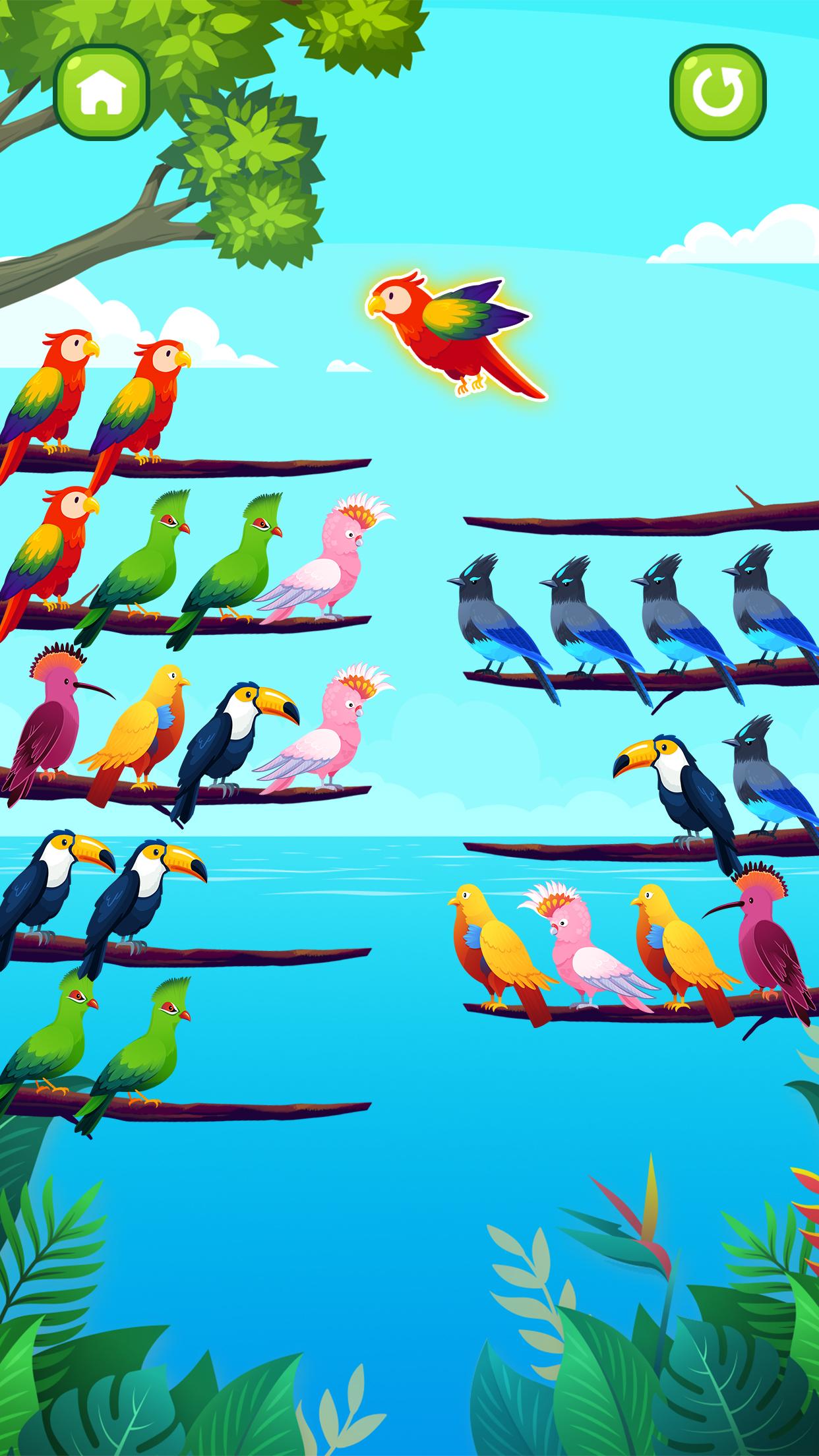 Bird Jigsaw jogos de quebra cabeça versão móvel andróide iOS apk