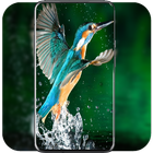 Bird Wallpaper ikon