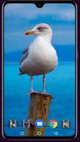 Bird Wallpaper syot layar 1