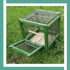 Bird Trap Design Ideas أيقونة