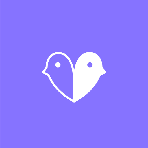 Birdy, Matchmaker 2.0