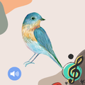 Bird Sounds Ringtones