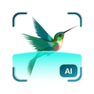 Bird Detect icône