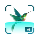 APK Bird Detect