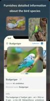 Bird Detect اسکرین شاٹ 3