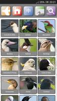 برنامه‌نما HK Birds عکس از صفحه