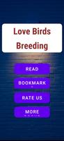 Lovebirds Breeding Poster