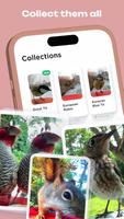 Bird Buddy تصوير الشاشة 3