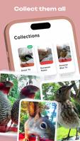 Bird Buddy اسکرین شاٹ 3