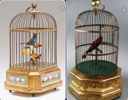 bird cage design screenshot 3