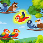 Sort the Bird Color Puzzle ikona